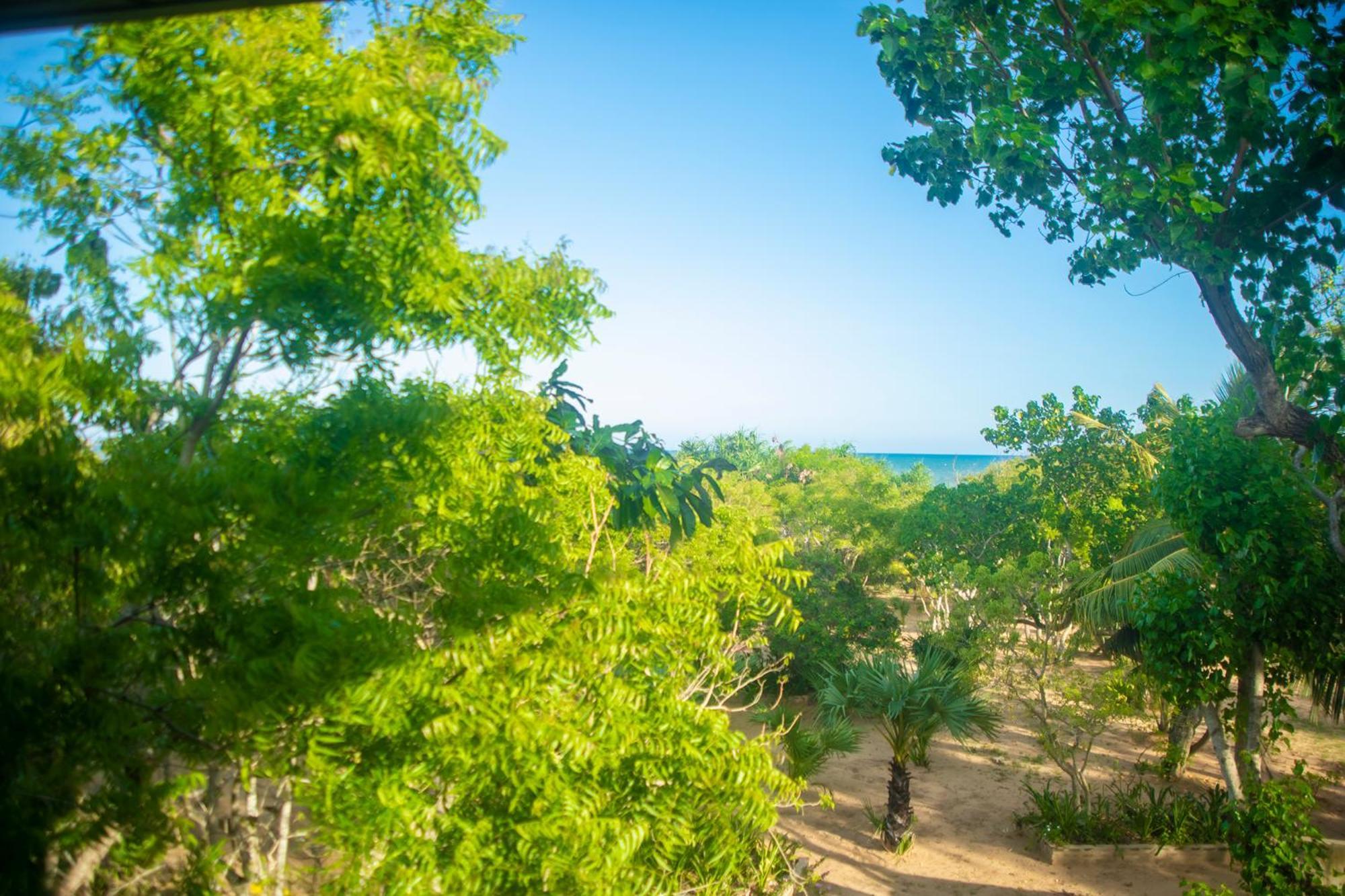 Nikara Luxury Beach House Tissamaharama Extérieur photo
